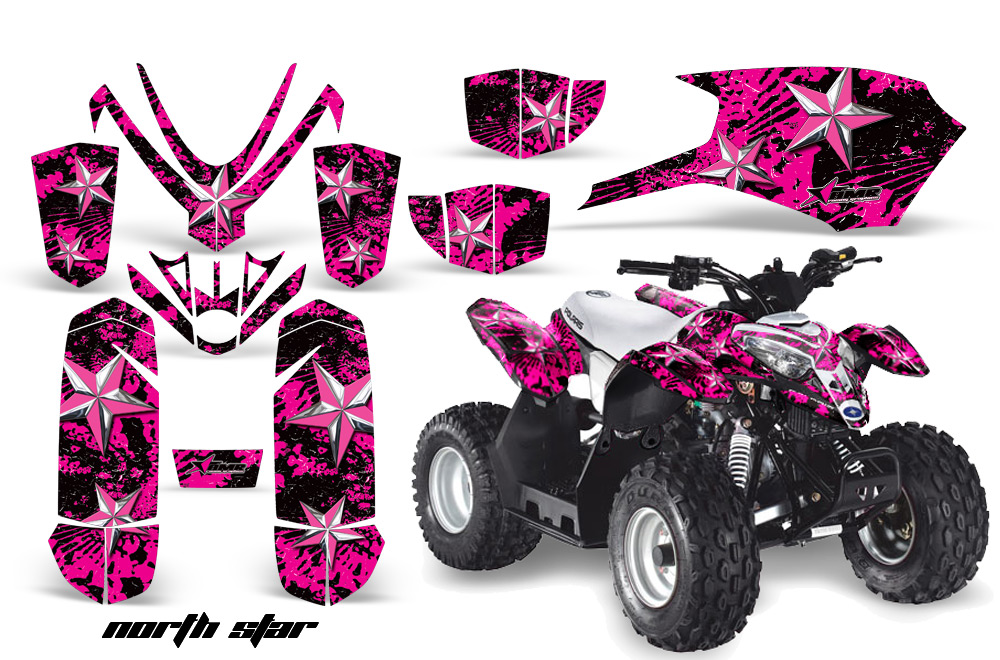 Polaris Outlaw 50 Graphics Kit NS PC